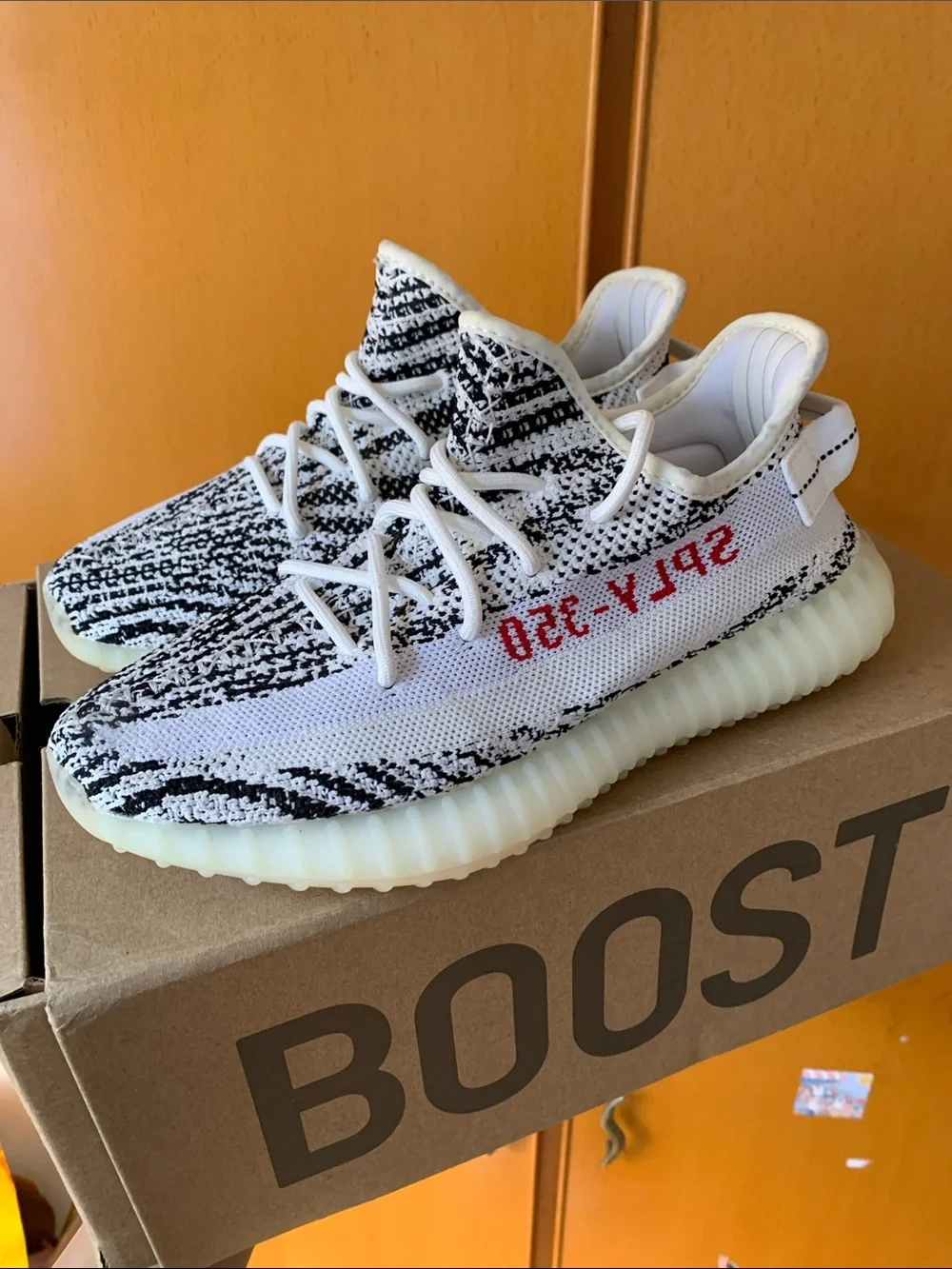 Yeezy new never